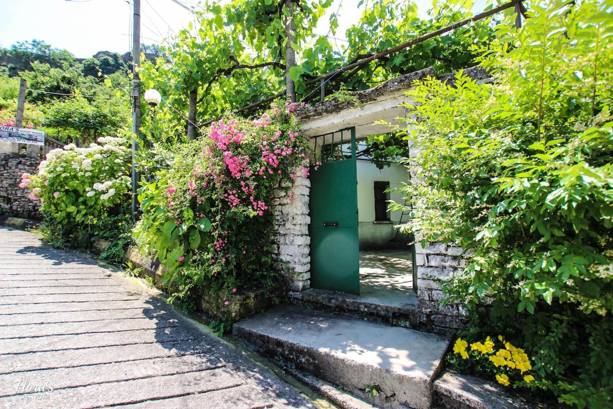 Flora'S Guesthouse 'The Fir Gate' Gjirokastër 外观 照片